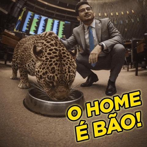 Kim Kataguiri Deputado GIF