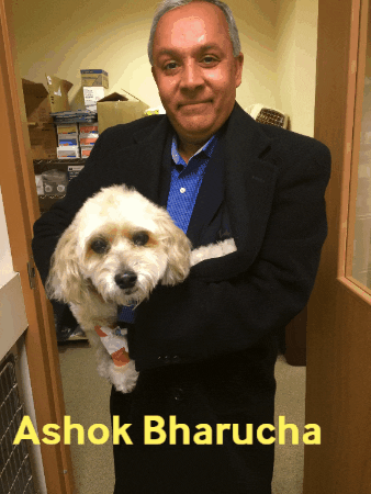 Ashok Bharucha GIF