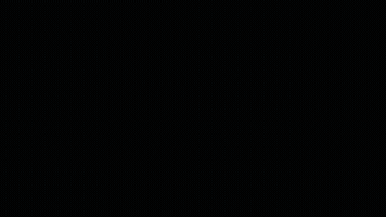 Precision GIF