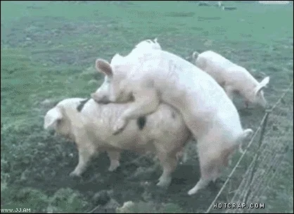 EL MEJOR GIF ANIMADO V 4.0 - Página 7 Giphy.webp?cid=6c09b9527ac8827cc3ff4c1352a235c3171963c1e9c49b7f&rid=giphy