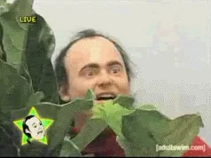 giphy.webp?cid=ecf05e47nuuoqt7ban9yxou3h