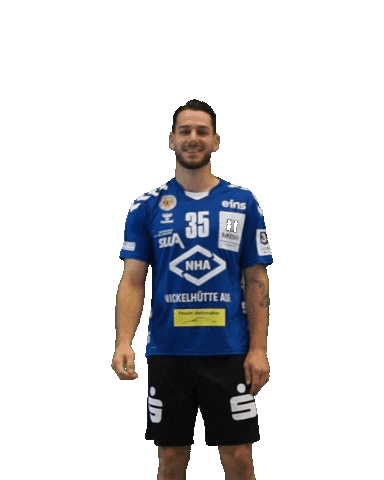 EHV Aue Sticker