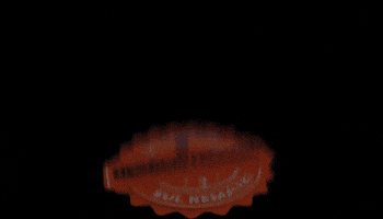 Negocio Negociofechado GIF by SulRemates