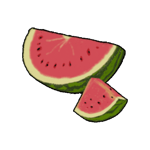 여름 스티커 Sticker