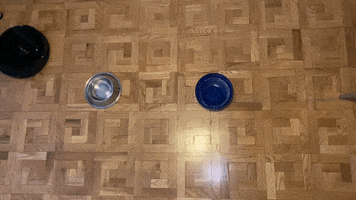 Vacuum GIF