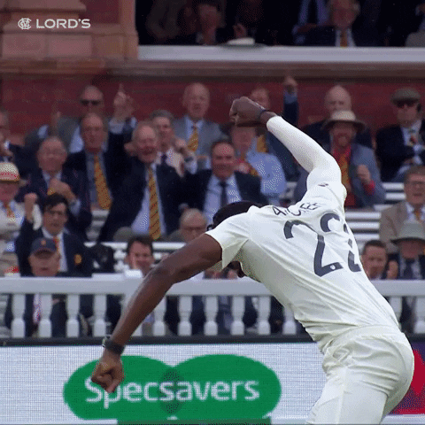 London Celebration GIF by Lord's Cricket Ground