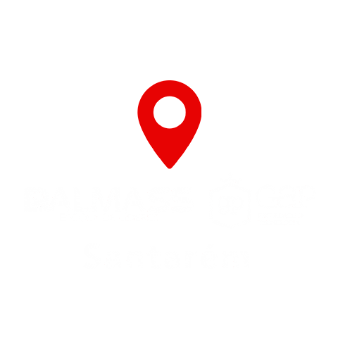 Ac Go Sticker by dalmass