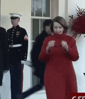 Nancy Pelosi Deal With It GIF by MOODMAN