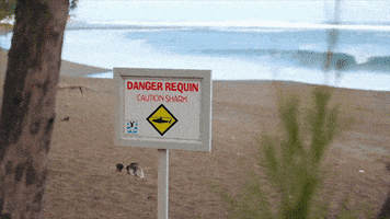 Discovery GIF by Shark Week