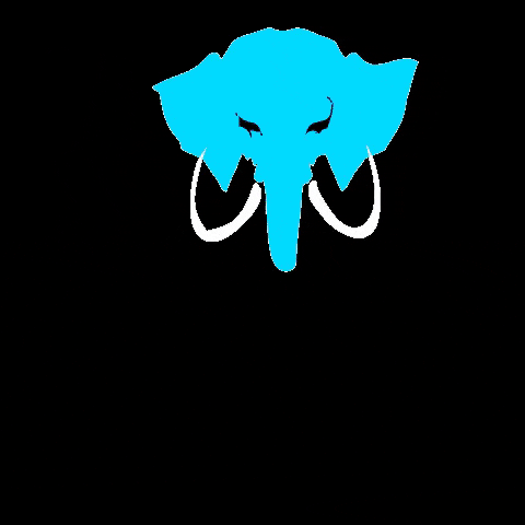 mamuteclub pub hookah narguile mamute GIF