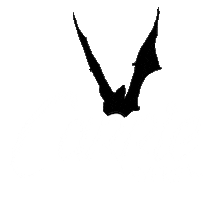 Carrie Sticker by Victoria Haus
