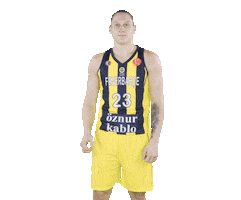 Basketball Cubuklu Sticker by Fenerbahçe Öznur Kablo