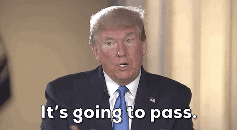 giphy.gif?cid=9b38fe91ywddilgk0mqt2gktxb