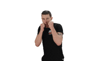 Boxing Kickboxing Sticker by Fitz Gym