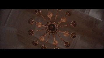 200.gif?cid=fc005b08daeb82c62e093ae306eea733f4f03eb6de96946b&rid=200.gif&ct=g
