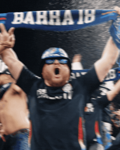 Supporters GIF by San Diego FC