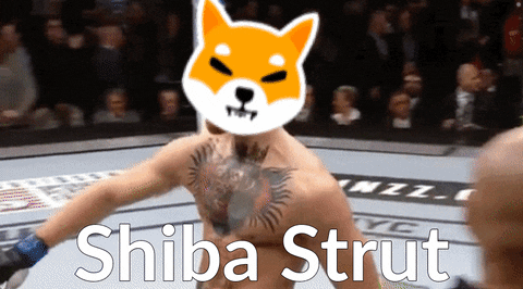 Shiba Inu Dogecoin GIF by :::Crypto Memes::: thumbnail