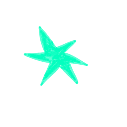 Illustration Star Sticker