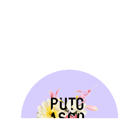 Animated Sticker