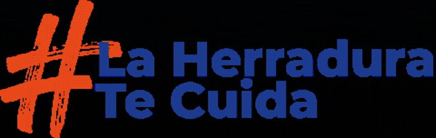 herradura herradura GIF