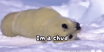 Sea Lion Seal GIF