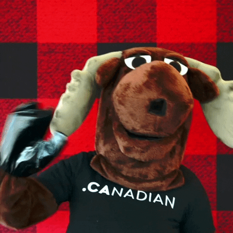 Canadian Hello GIF by choose.ca