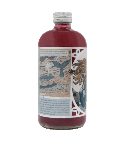 Drink Hibiscus Sticker by Mándolin Kombucha MX