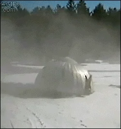 [Image: giphy.webp?cid=ecf05e47k6360tb828efd9ohy...giphy.webp]