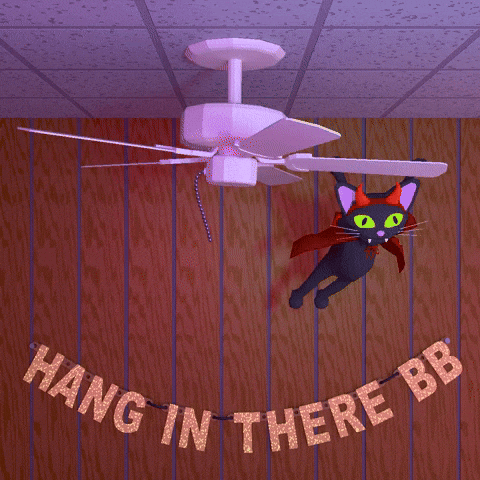 hang in there cat targets
