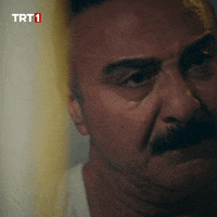 Miray Daner Reaction GIF by TRT