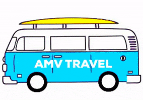 AMV Travel DMC GIF