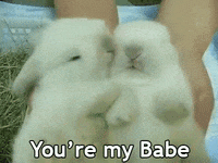 I Love You Baby Gifs Get The Best Gif On Giphy I Love You Baby Gifs Get The Best Gif On Giphy