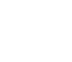 Box Sticker by boxufscar