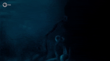 Sea Monster GIF by PBS Digital Studios