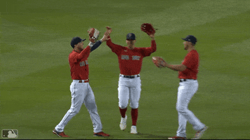 Red Sox Celebration GIF by MLB