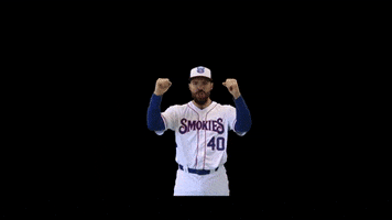 SmokiesBaseball GIF