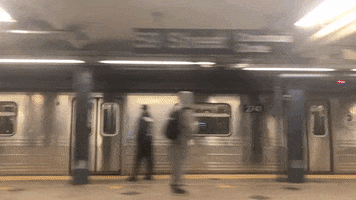 New York City Nyc GIF by Common Ground Compost