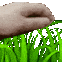 Discord Grass Sticker