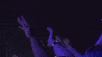 Hand Up GIF by Royaume du Web
