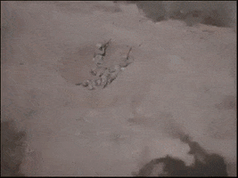 F U Wasome GIF