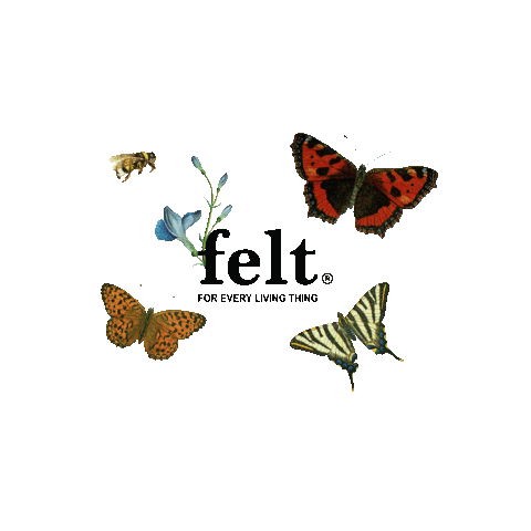 Flower Butterfly Sticker by CP