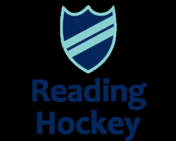 Fortitude Hockey GIF