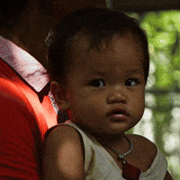 The-last-tourist GIFs - Get the best GIF on GIPHY