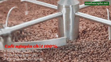 Coffee GIF
