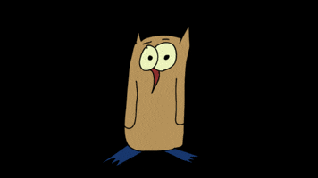 Owl What The Actual Fuck GIF by Jeremy Speed Schwartz