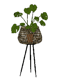 Plant Grow Sticker by dedradaviswrites