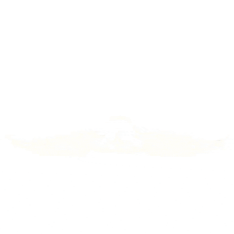 Wings GIF