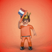 Celebrate Willem Alexander GIF by PLAYMOBIL