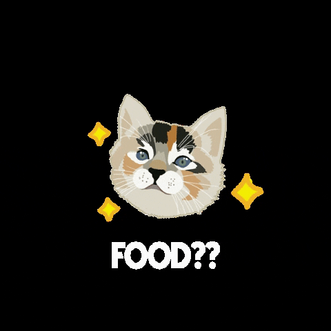 Cat Food GIF