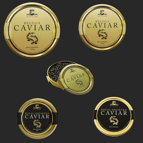 Attilus_caviar royal caviar sturgeon oscietra GIF